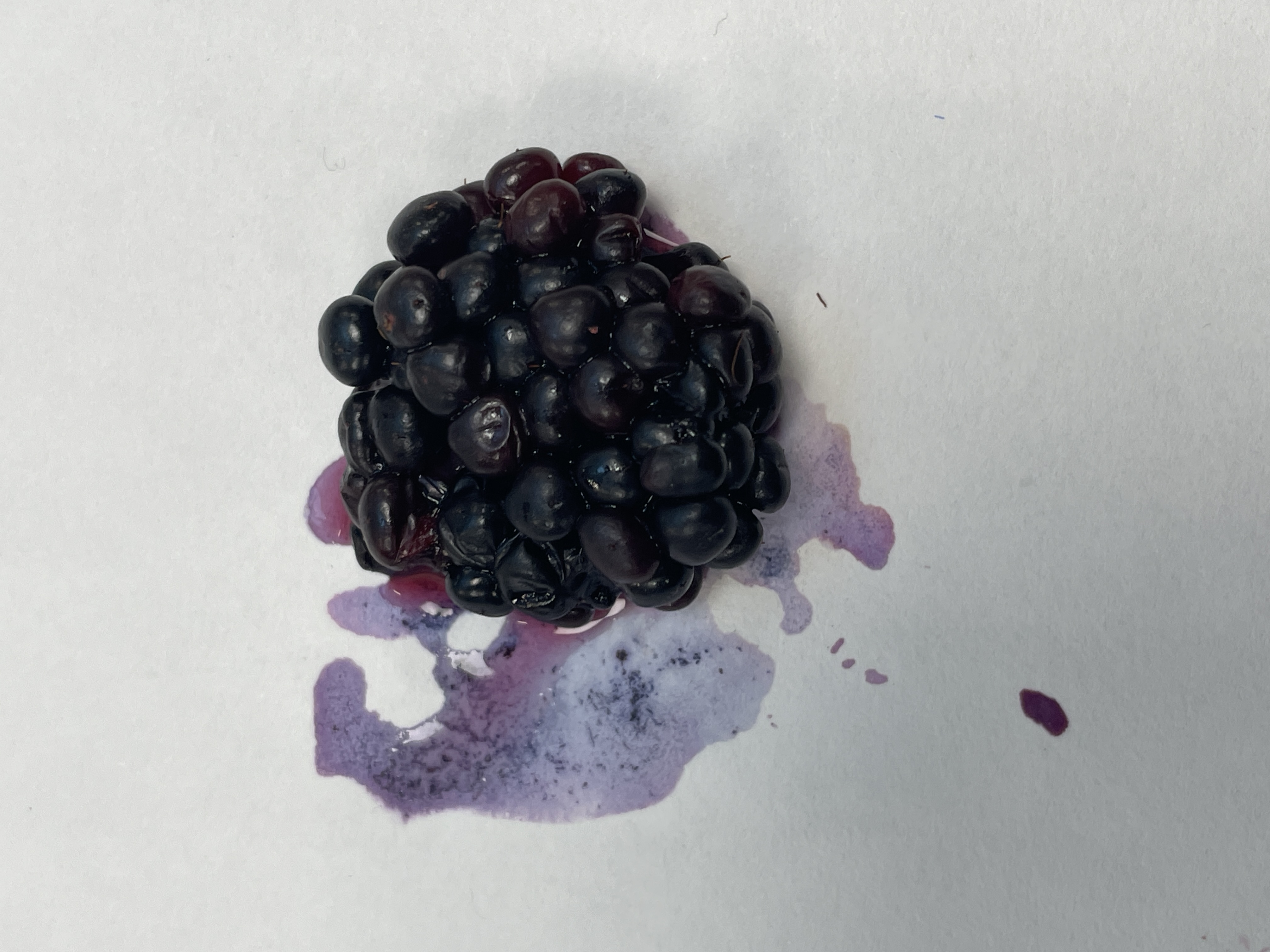 Miscellaneous work 15
