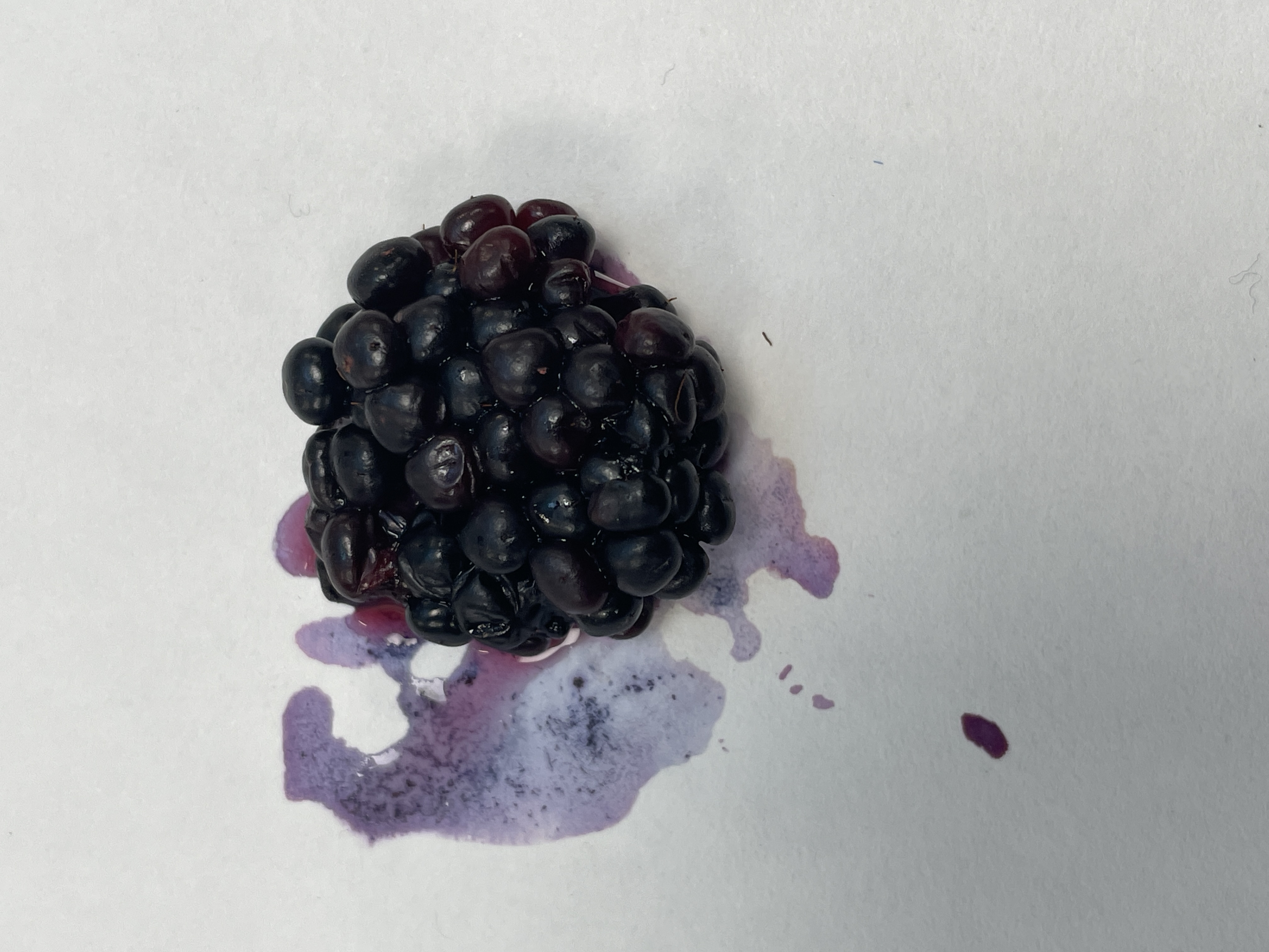 Miscellaneous work 16