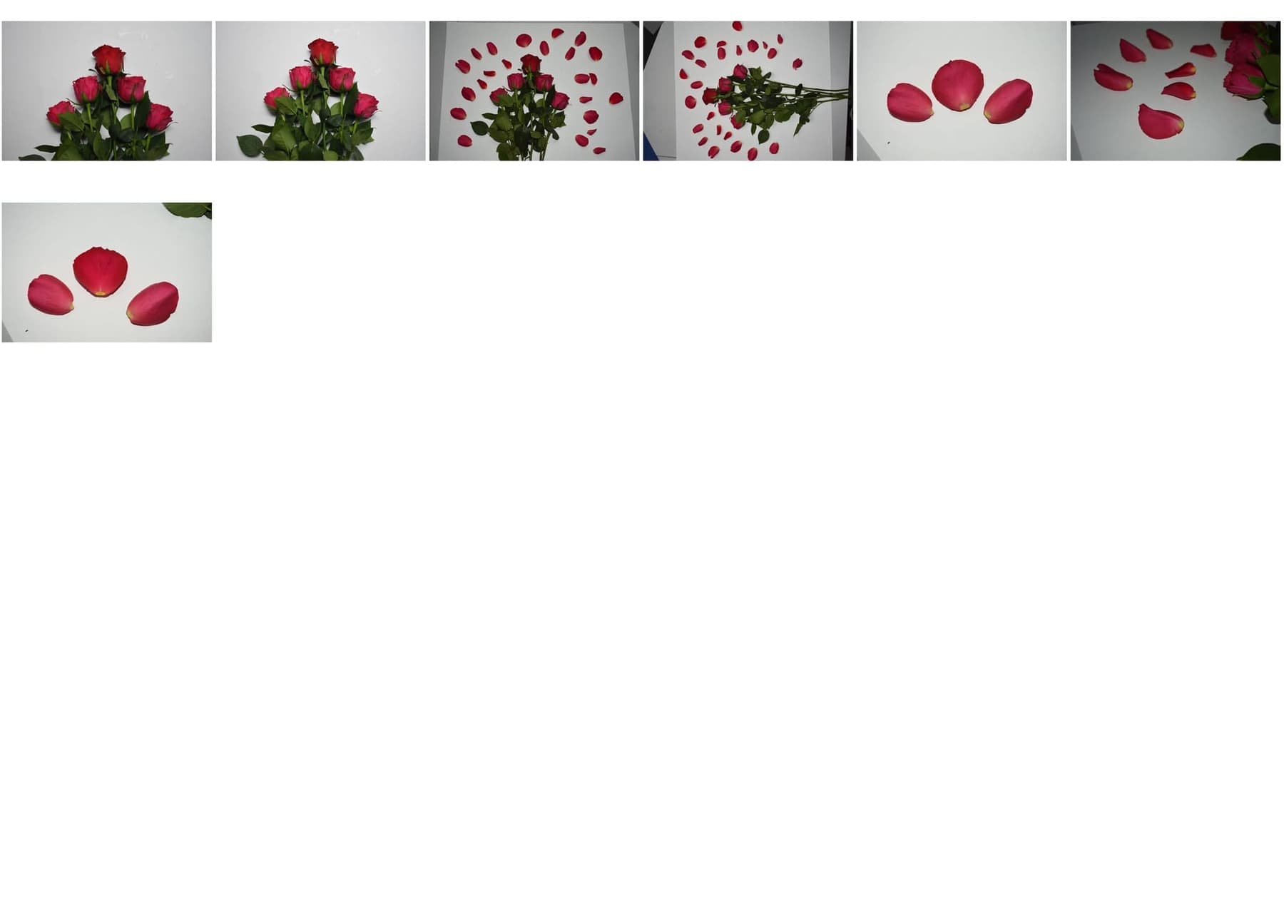 Miscellaneous work 126