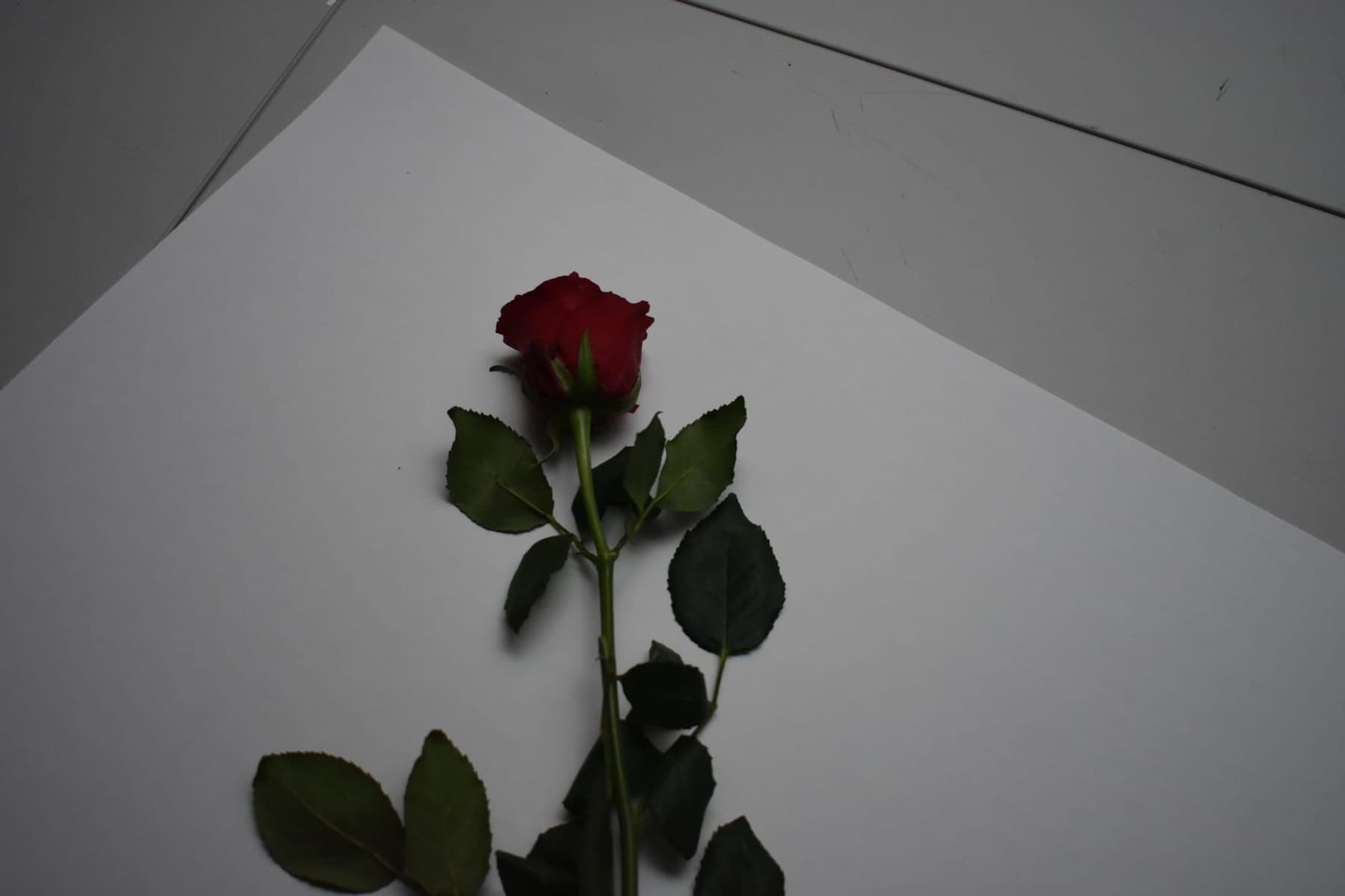 Miscellaneous work 132