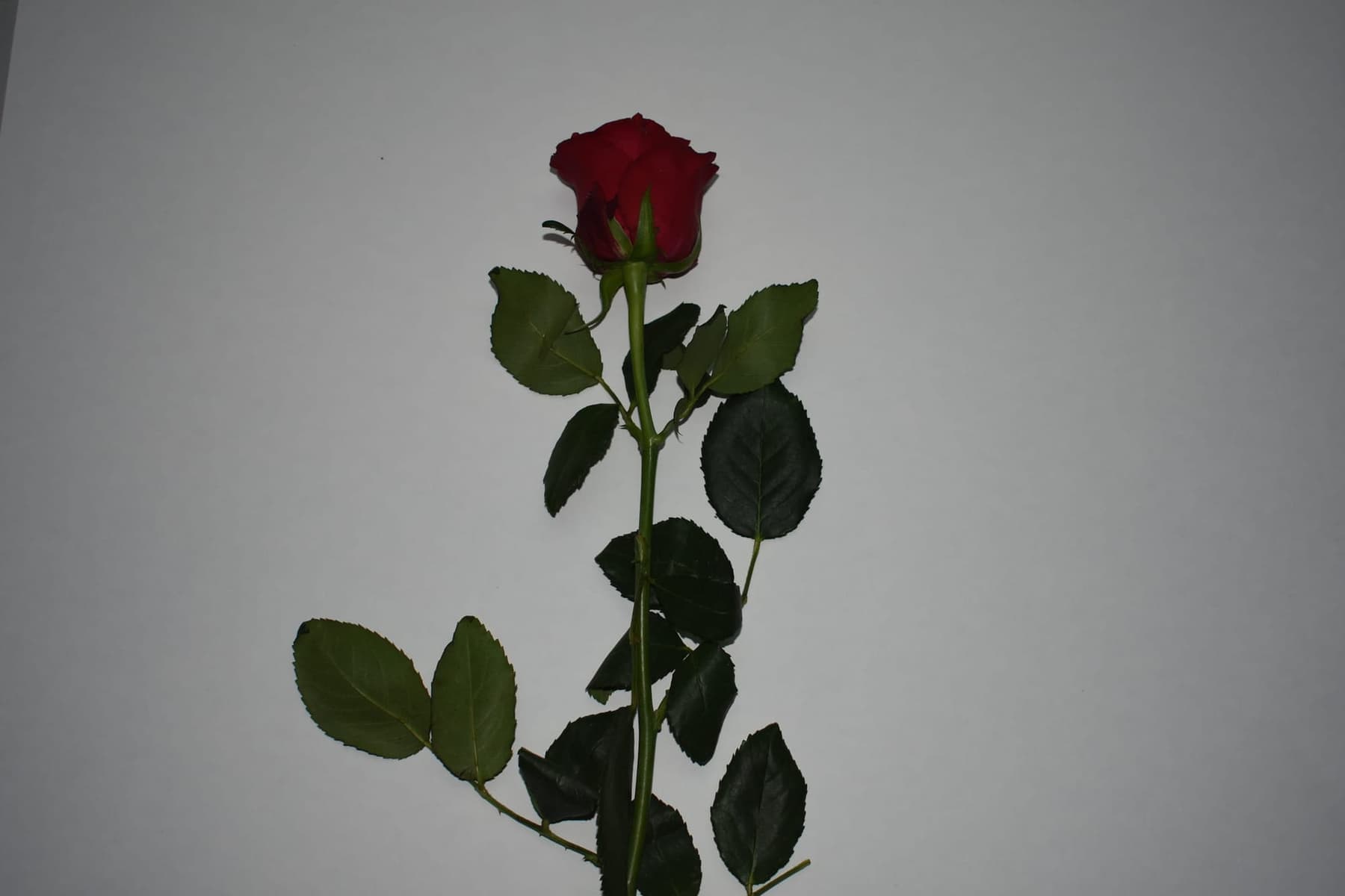 Miscellaneous work 133