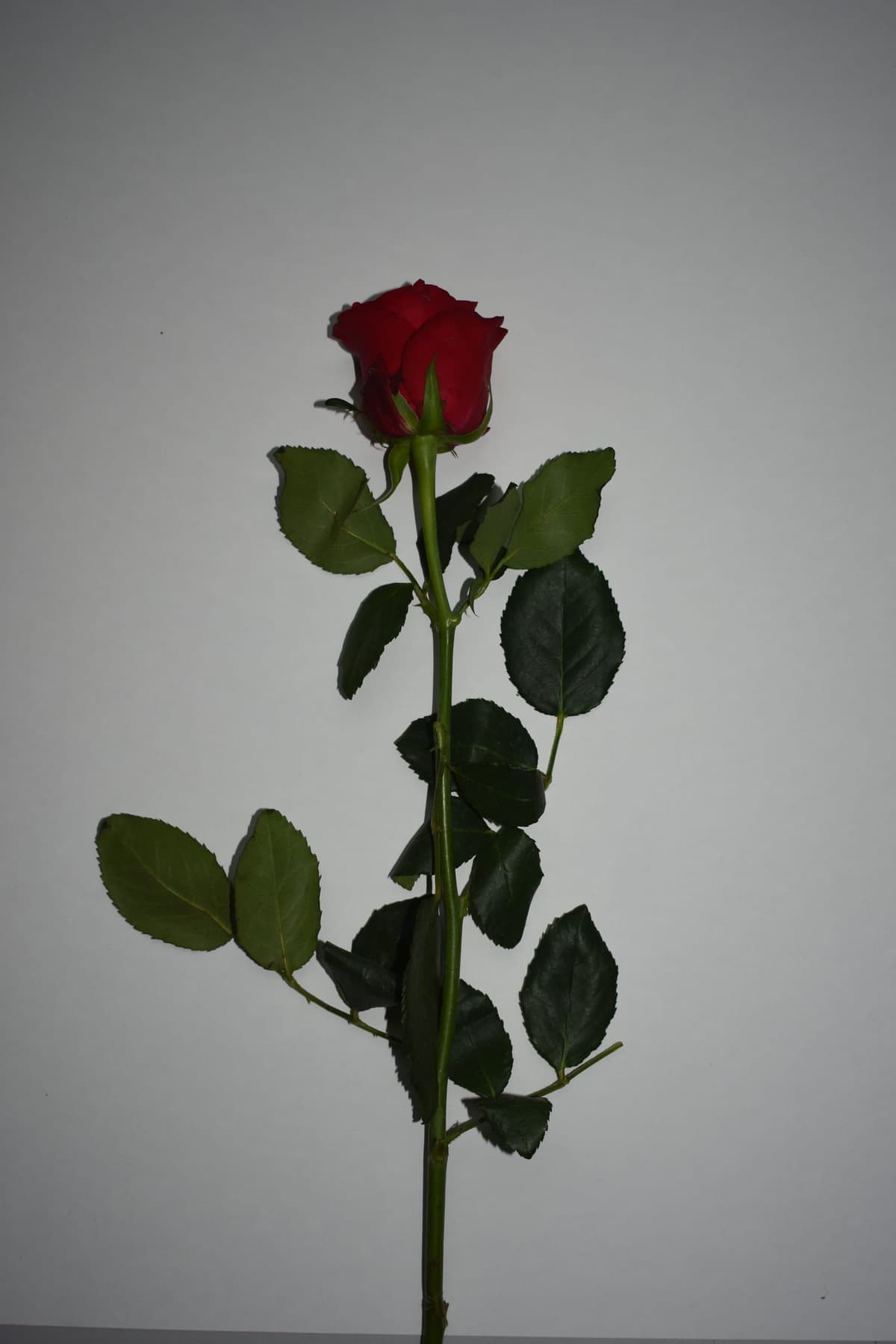 Miscellaneous work 134