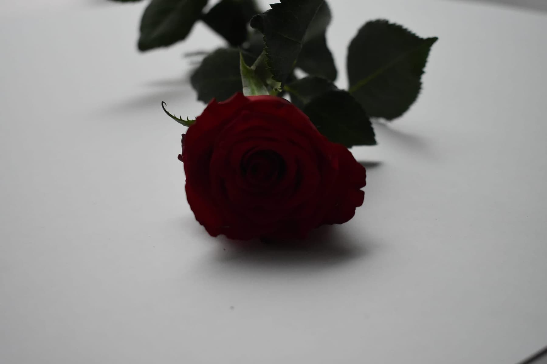 Miscellaneous work 140