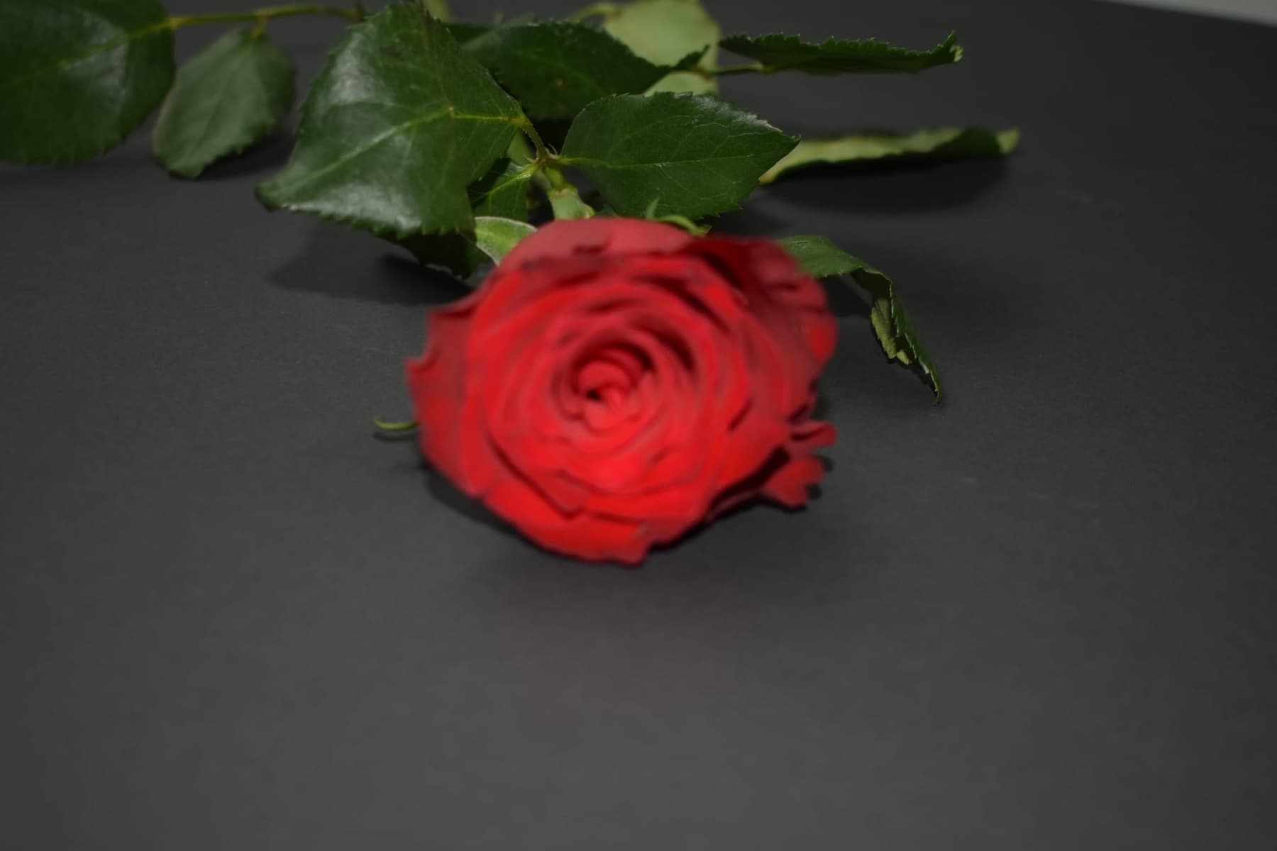 Miscellaneous work 145