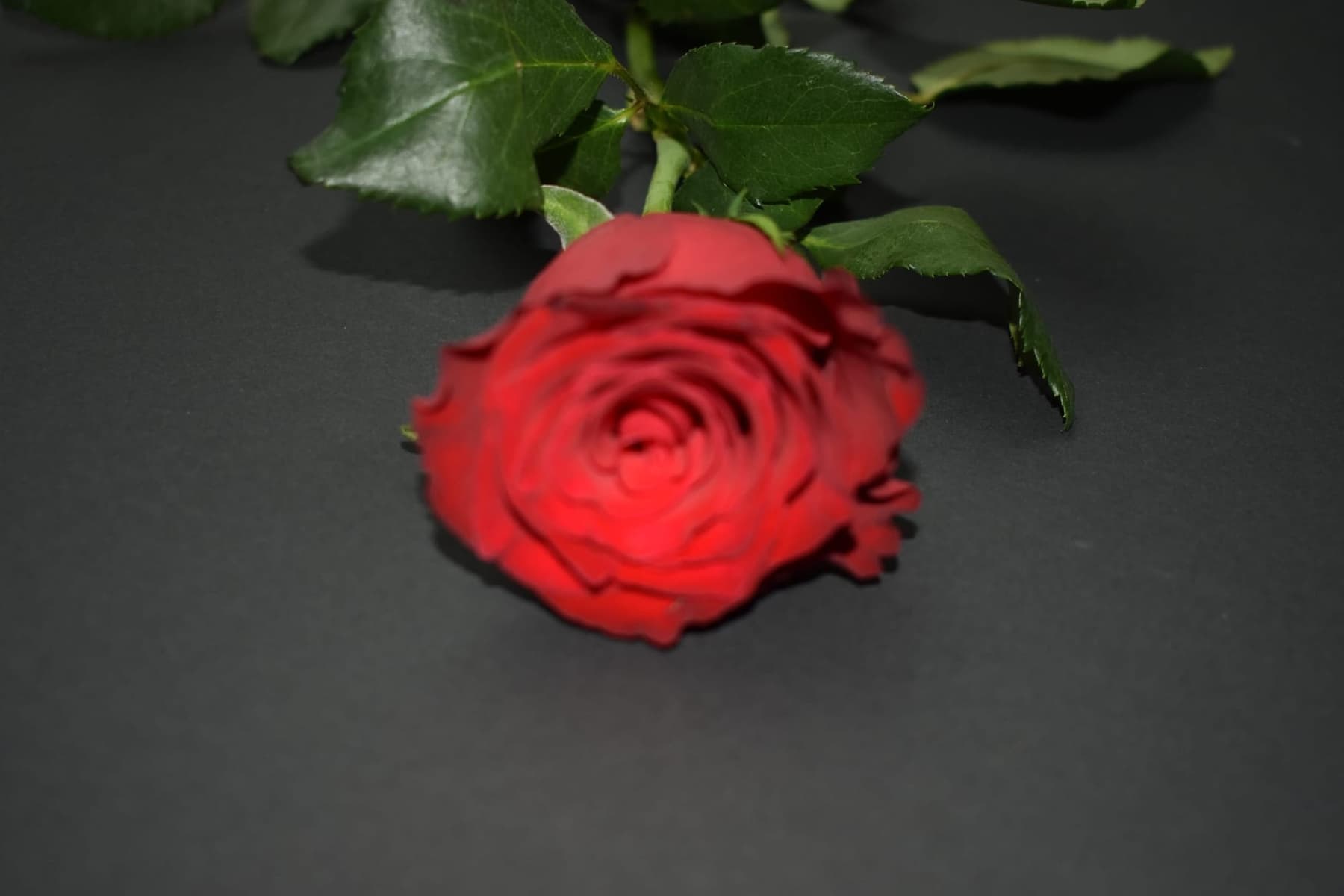 Miscellaneous work 146