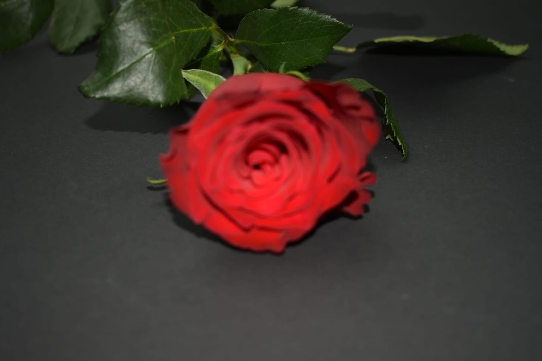 Miscellaneous work 147