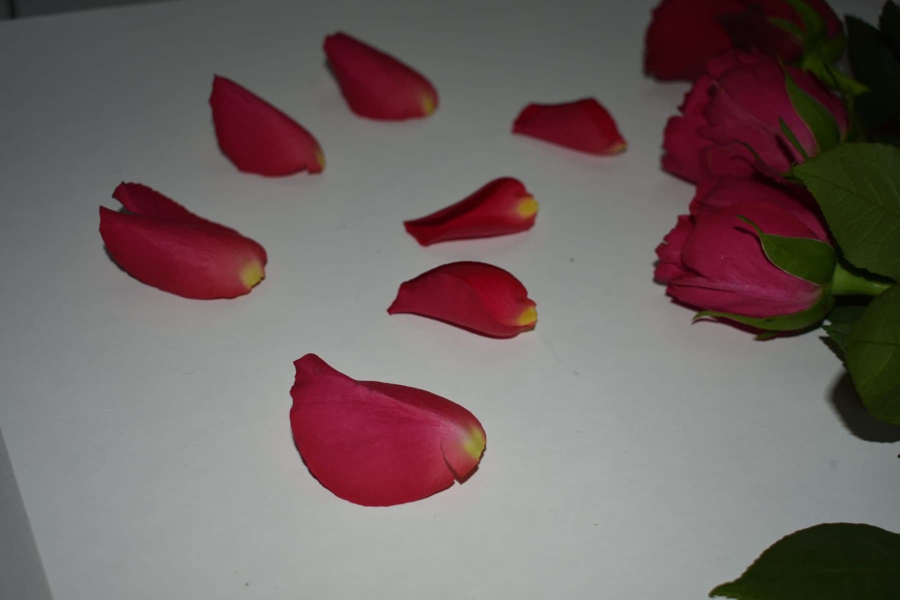 Miscellaneous work 177