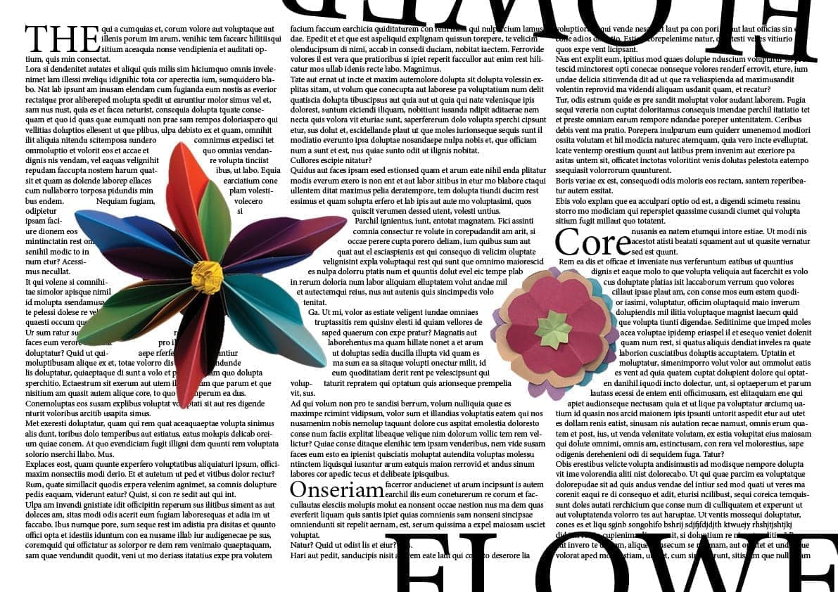 Miscellaneous work 220